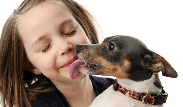 Могут ли глисты от собаки передаться человеку?