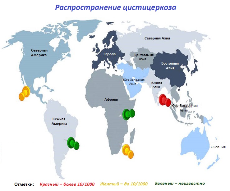 Карта распространения цистицеркоза