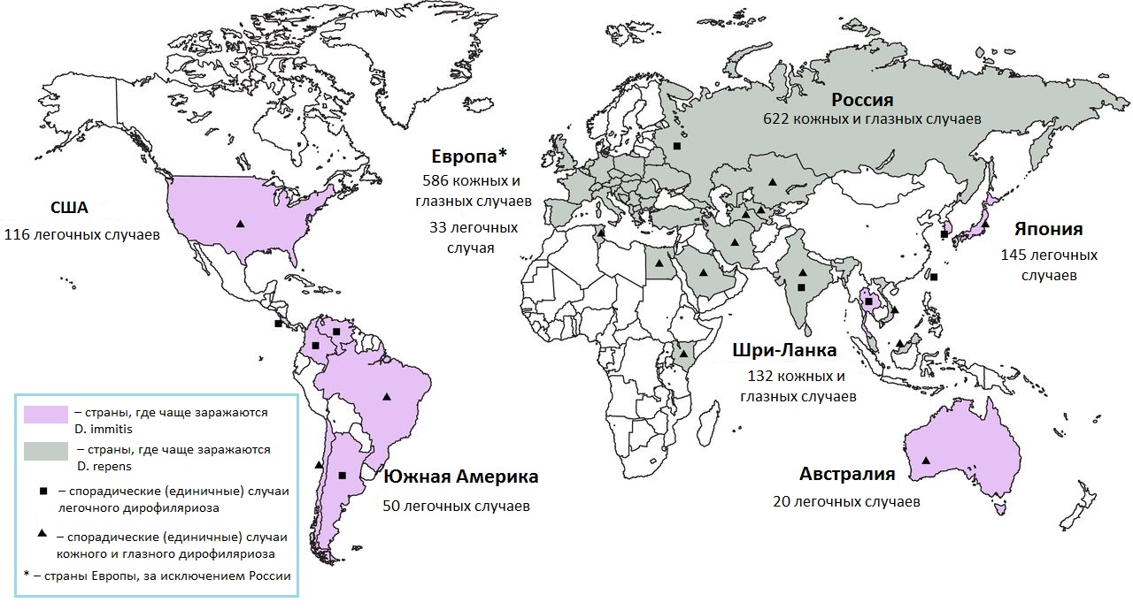Эпидемиология дирофиляриоза, показанная на карте