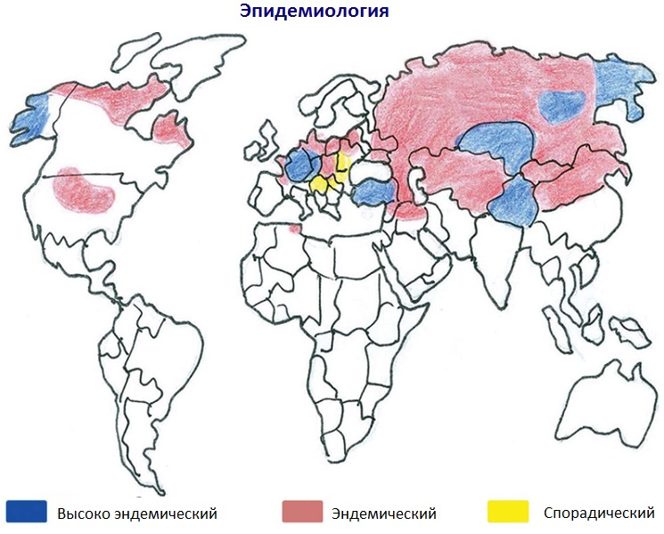 Эпидемиология альвеококкоза на карте