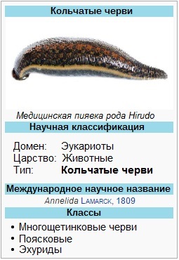 Биологическая классификация кольчтатых червей